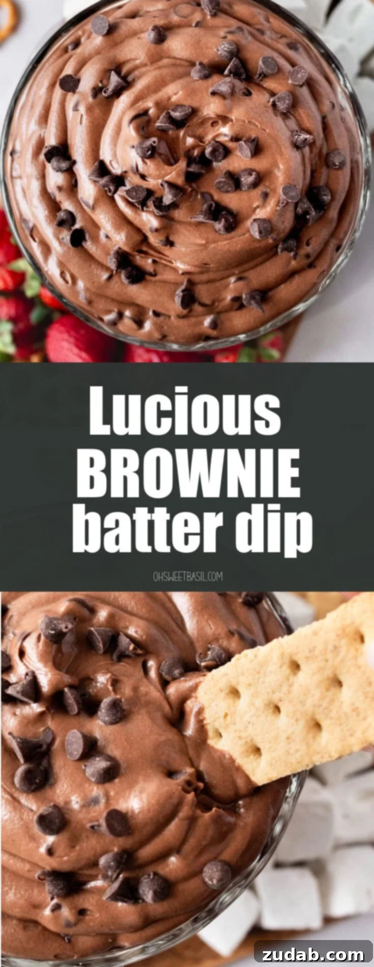 Decadent Brownie Batter Dip 14 A person dipping a graham cracker into a large, inviting bowl of brownie batter dip, lavishly topped with mini chocolate chips, promising a sweet, decadent experience.