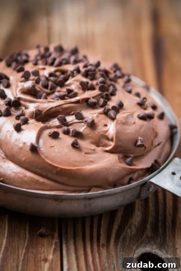 This is your new go-to for appetizers, party food, easy dips, and treat for the holidays. It takes no time to make Brownie Batter Dip! A close-up of a bowl of delightful brownie batter dessert dip, beautifully sprinkled with mini chocolate chips, ready for a taste.