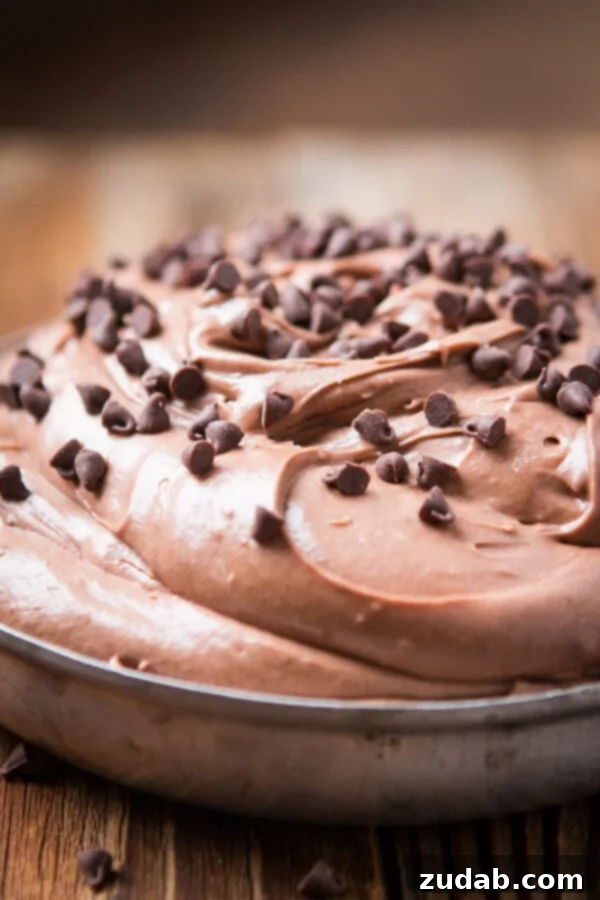 This is your new go-to for appetizers, party food, easy dips, and treat for the holidays. It takes no time to make Brownie Batter Dip! A creamy, rich brownie chocolate dip generously topped with glistening mini chocolate chips, showcasing its decadent appeal.