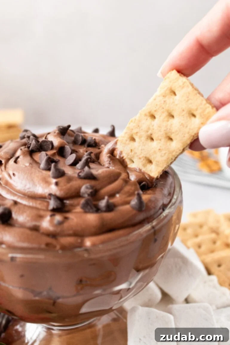 Decadent Brownie Batter Dip 3 A graham cracker being dipped into a luscious bowl of brownie batter dip, adorned with a sprinkle of mini chocolate chips, promising a sweet bite.