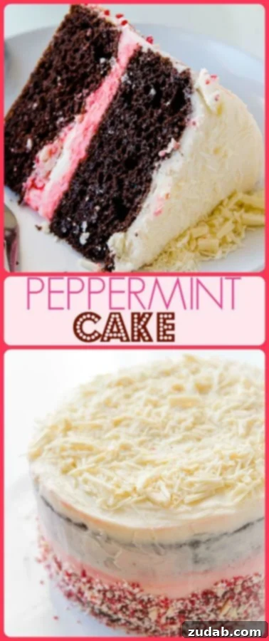 Easy Festive Chocolate Peppermint Cake 2 Deliciously moist chocolate peppermint cake, perfect for any holiday gathering.