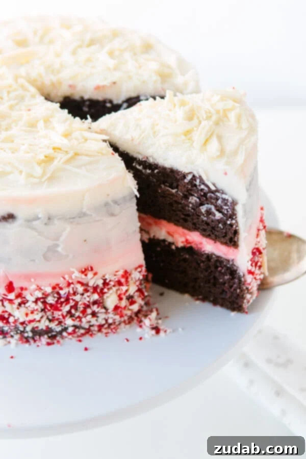 The perfect holiday chocolate peppermint cake recipe to share. A simple chocolate peppermint cake, freshly baked and ready for frosting.