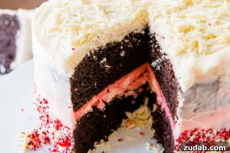 Festive chocolate peppermint cake, beautifully decorated. An overhead shot of a frosted chocolate peppermint cake, decorated with white chocolate and peppermint bits.