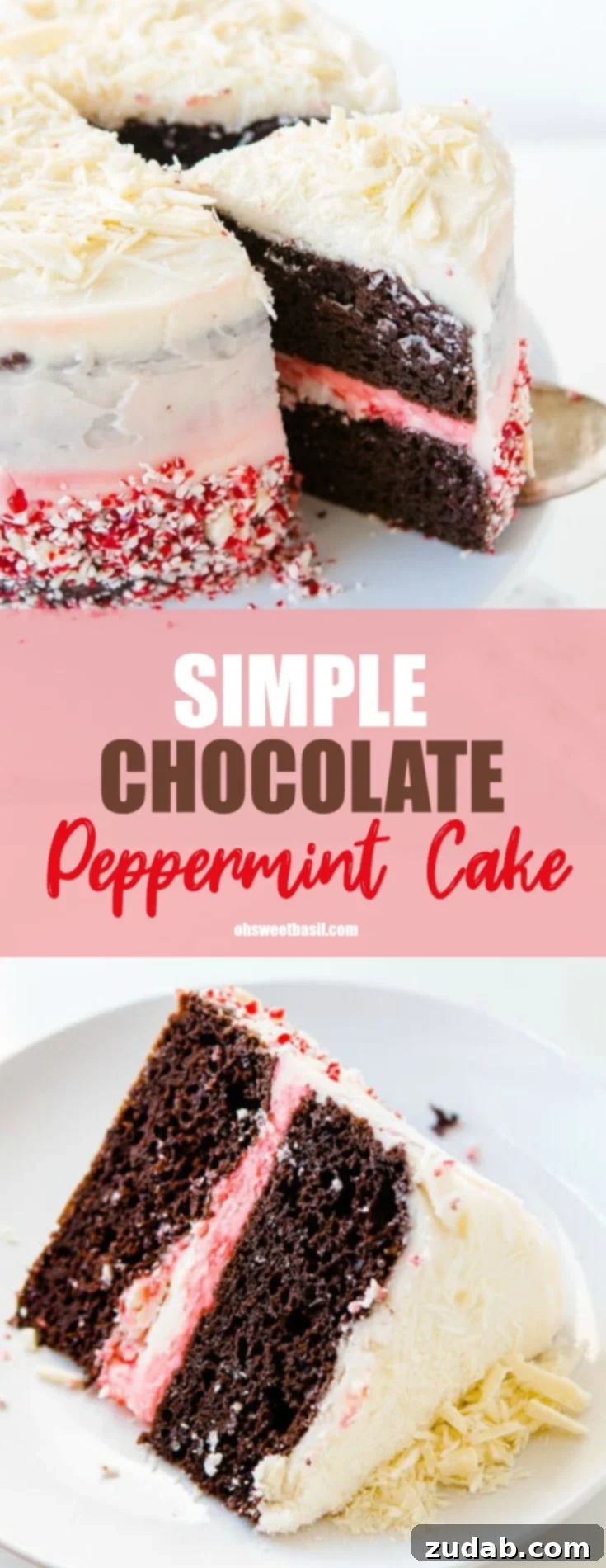 Easy Festive Chocolate Peppermint Cake 9 A beautifully decorated slice of chocolate peppermint cake on a white plate, showcasing its layers and festive topping.