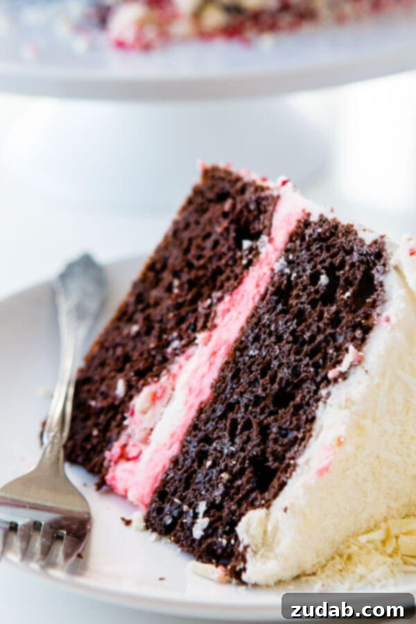 The ultimate simple chocolate peppermint cake for festive celebrations. A festive holiday chocolate peppermint cake, freshly frosted and adorned with crushed peppermint candy.