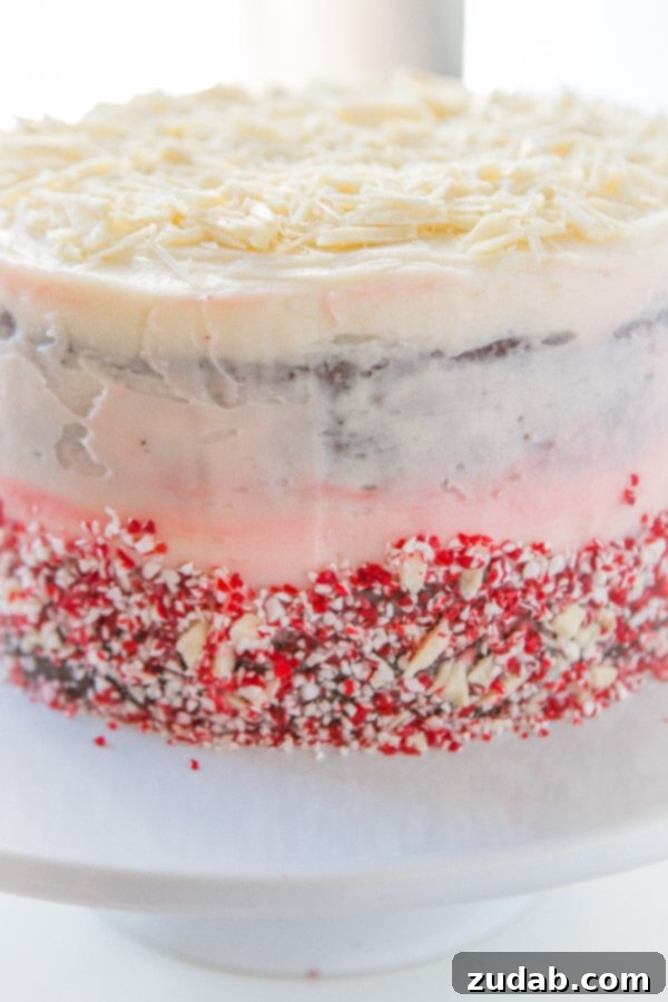 The best holiday chocolate peppermint cake recipe. A beautifully frosted simple chocolate peppermint cake, ready for holiday festivities.