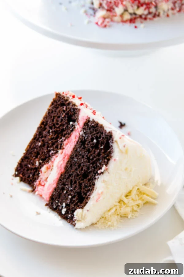 Moist chocolate peppermint cake, ideal for any occasion. Close-up of a chocolate peppermint cake slice, highlighting its moist texture and rich layers.