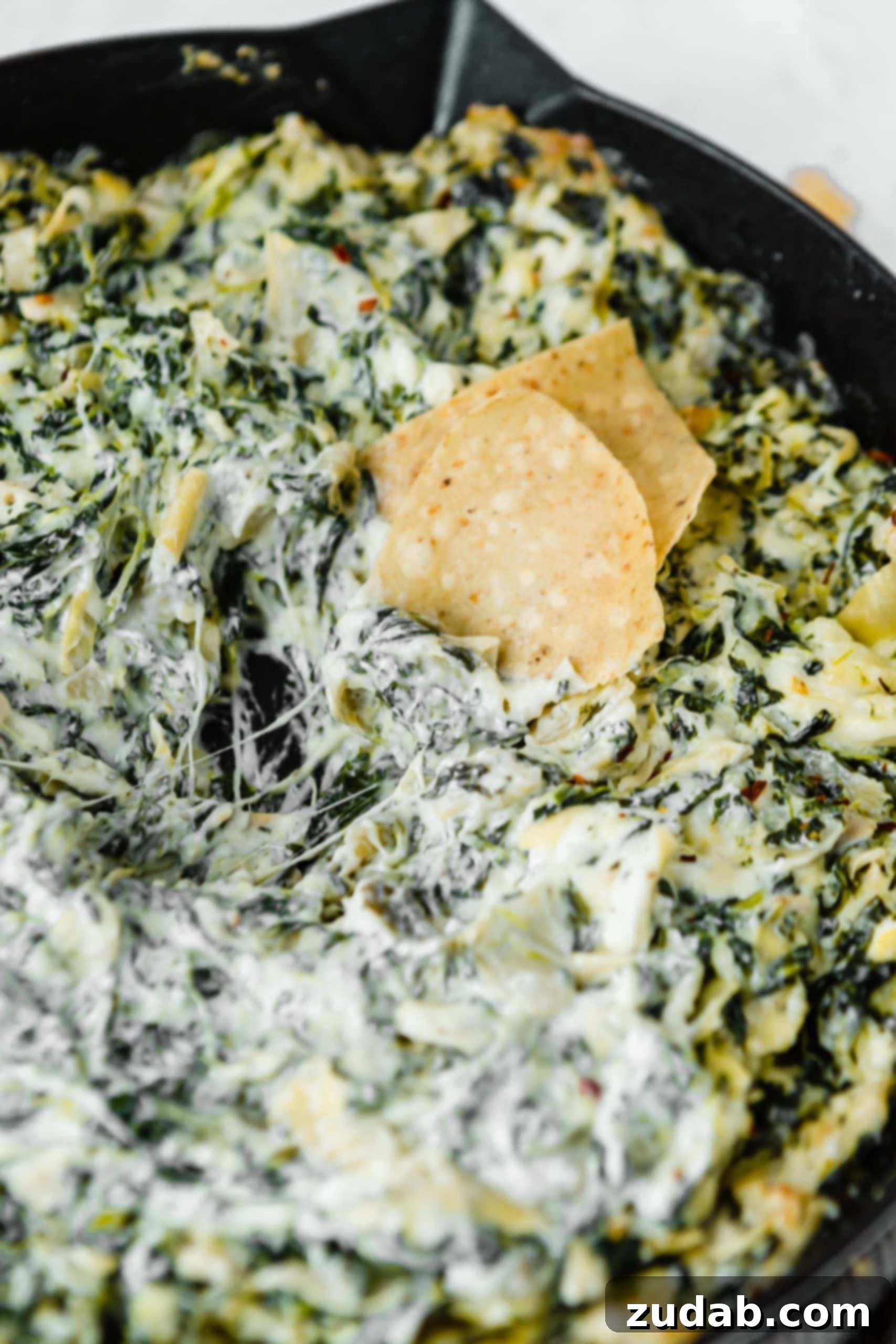 Cheesy Spinach Artichoke Dip A close up picture of spinach and artichoke dip. Two tortilla chips are in the cheesy dip.