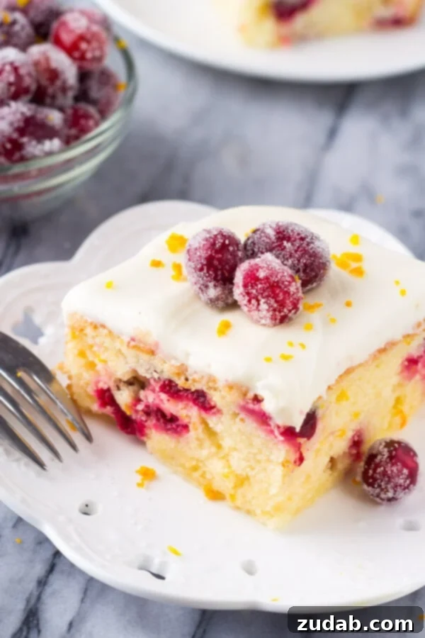 Vibrant Cranberry Orange Cake with Cream Cheese Frosting 2 A beautiful slice of moist cranberry orange cake adorned with smooth cream cheese frosting, three sugared cranberries, and a delicate sprinkling of fresh orange zest, showcasing its festive appeal.