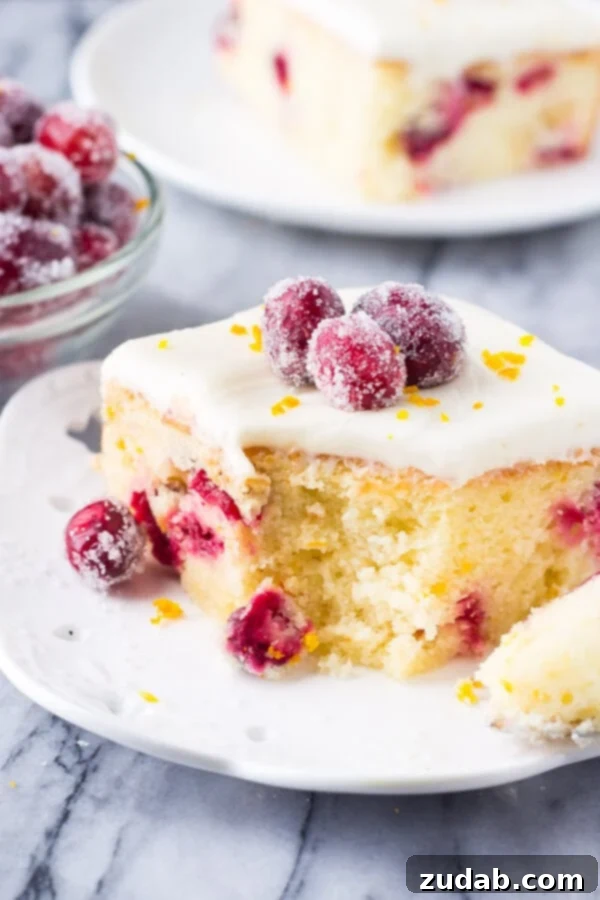 Vibrant Cranberry Orange Cake with Cream Cheese Frosting 5 A side view of a slice of cranberry orange cake with a bite taken, topped generously with cream cheese frosting, glistening sugared cranberries, and a sprinkle of orange zest.