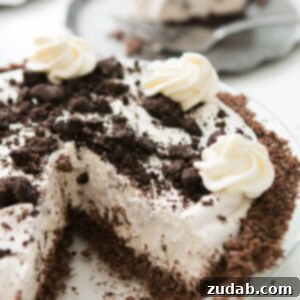 Decadent No-Bake Oreo Pie with Chocolate Graham Cracker Crust 2 Cut out slice of No Bake Oreo Pie with Chocolate Graham Cracker Crust in a silver pie tray.