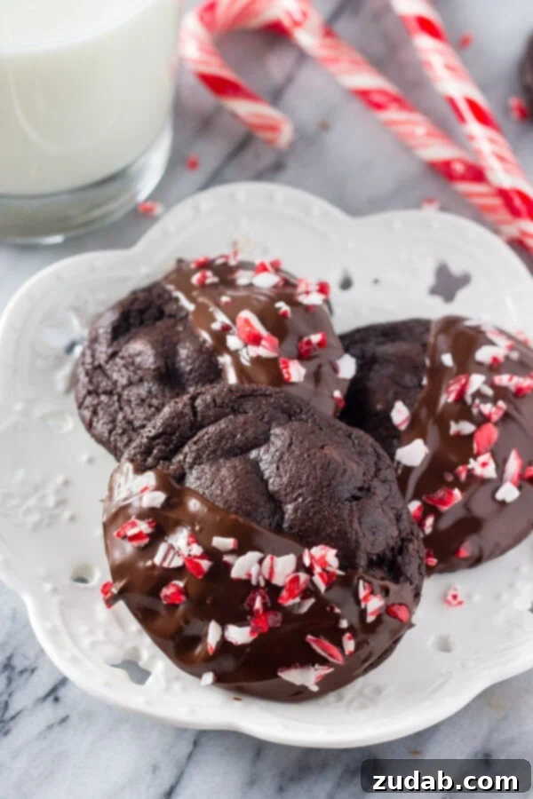Peppermint Double Chocolate Cookies have a rich chocolate taste and are infused with peppermint. They're dipped in chocolate and sprinkled with crushed candy canes for the perfect holiday cookie!
