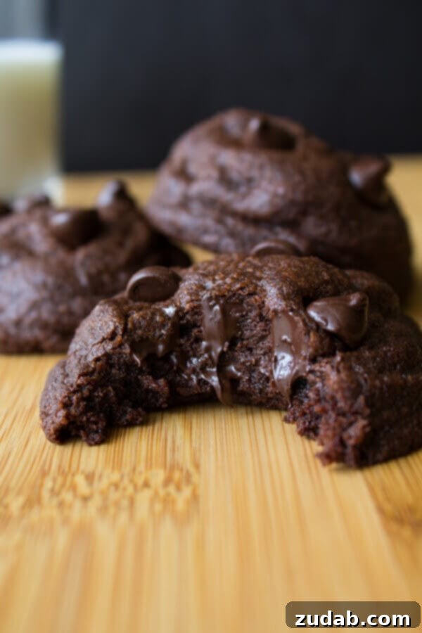 Rich, fudgy, soft batch double chocolate cookies oozing with chocolate chips – Chocolate lovers rejoice!