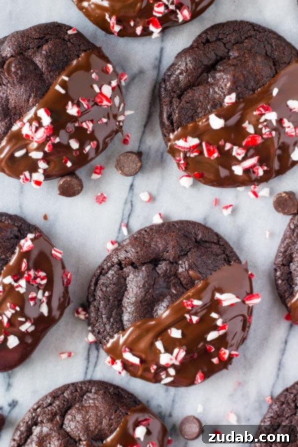 Peppermint Double Chocolate Cookies have a rich chocolate taste and are infused with peppermint. They're dipped in chocolate and sprinkled with crushed candy canes for the perfect holiday cookie!