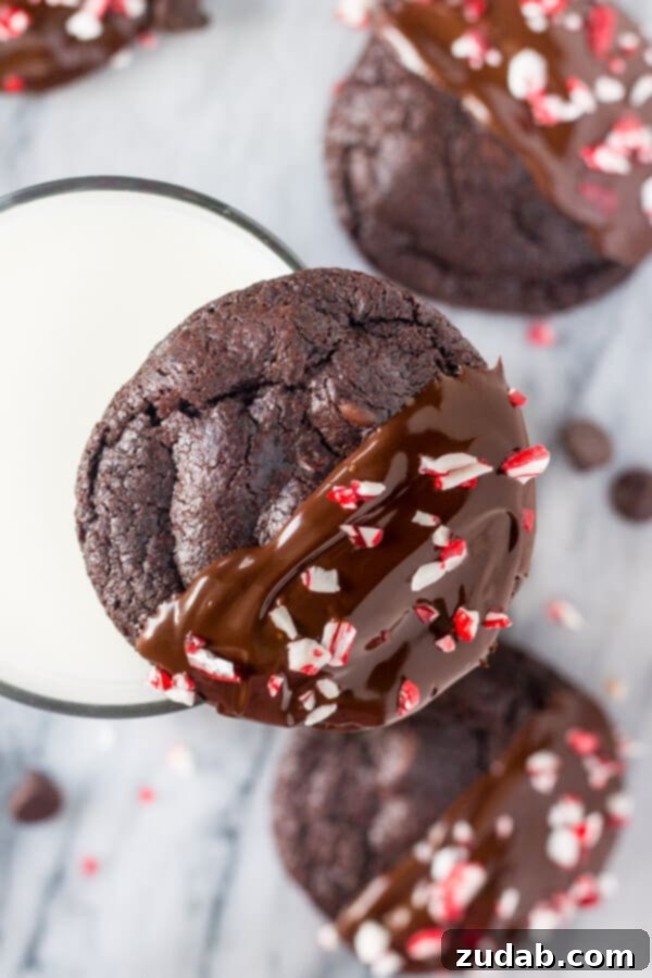 Peppermint Double Chocolate Cookies have a rich chocolate taste and are infused with peppermint. They're dipped in chocolate and sprinkled with crushed candy canes for the perfect holiday cookie!