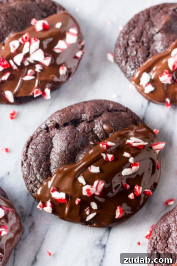 Peppermint Double Chocolate Cookies have a rich chocolate taste and are infused with peppermint. They're dipped in chocolate and sprinkled with crushed candy canes for the perfect holiday cookie!