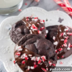 Peppermint Double Chocolate Cookies have a rich chocolate taste and are infused with peppermint. They're dipped in chocolate and sprinkled with crushed candy canes for the perfect holiday cookie!