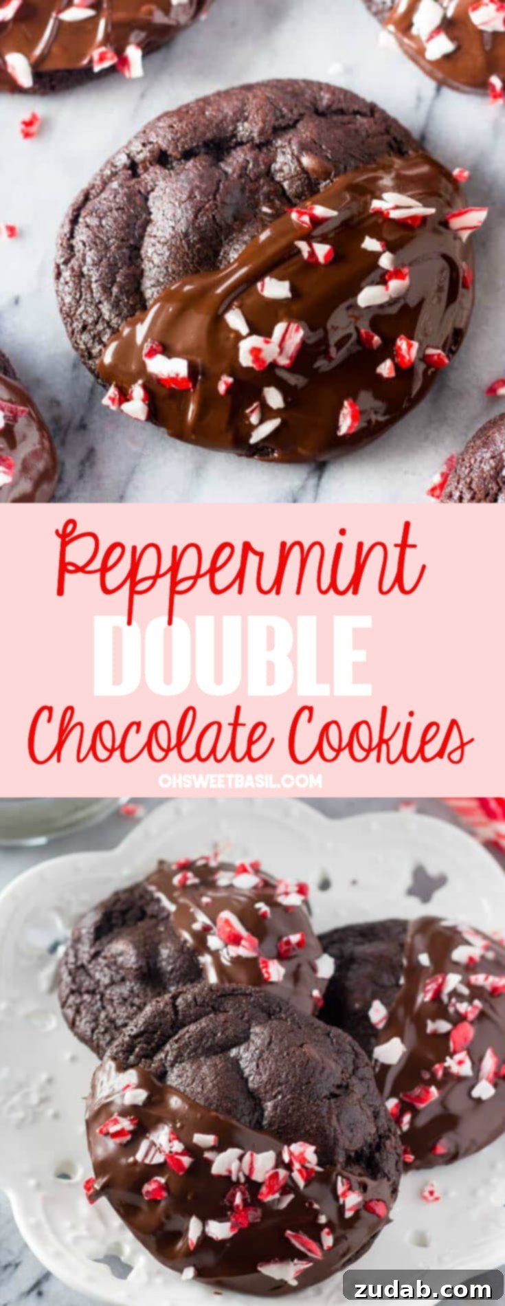 Peppermint Double Chocolate Cookies dipped in chocolate and sprinkled with peppermint