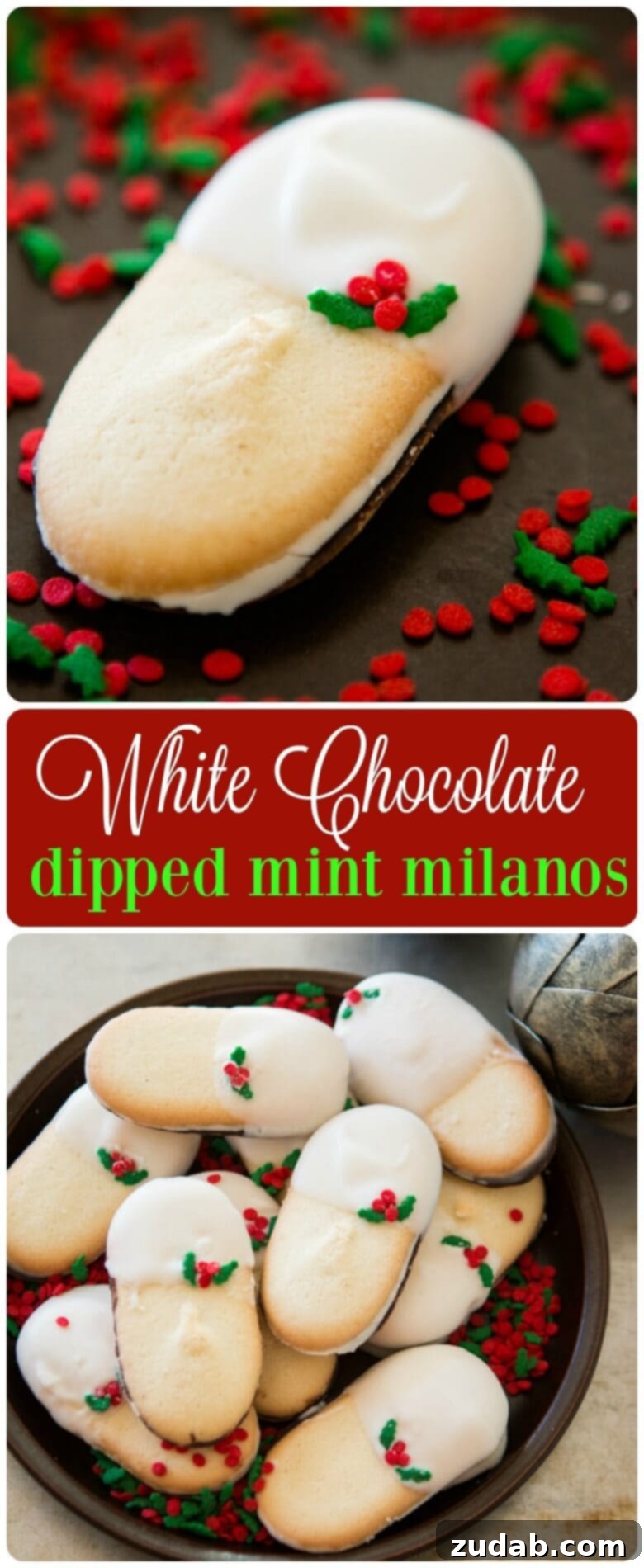 White Chocolate Dipped Mint Milanos: A festive indulgence that's as delightful to make as it is to eat. ohsweetbasil.com A large platter of White Chocolate Dipped Mint Milanos, beautifully arranged and ready for serving or gifting during the festive season. ohsweetbasil.com
