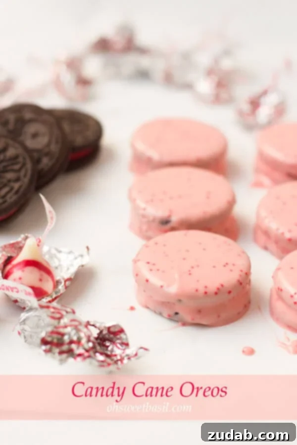 Simple and delightful Candy Cane Oreos, a homemade treat for festive occasions. ohsweetbasil.com Delicious Candy Cane Oreos, an easy and fun treat that kids can help make, perfect for the holidays. ohsweetbasil.com