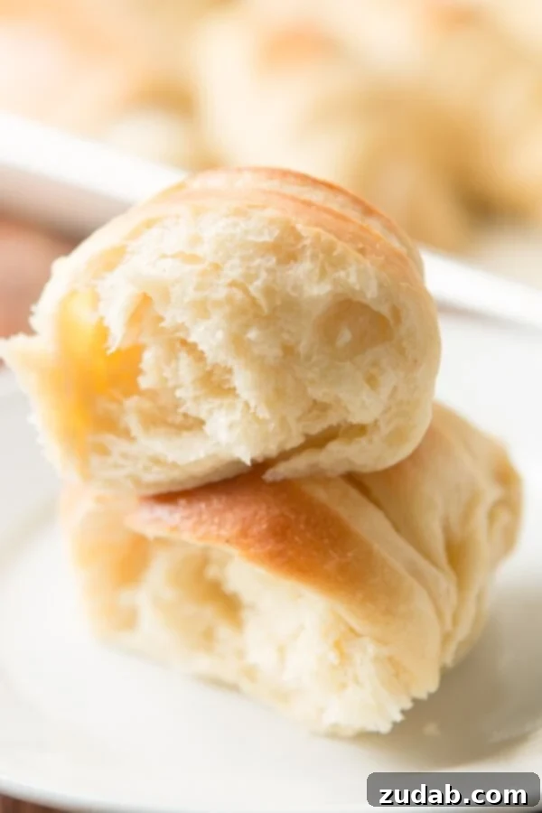 The 10 Recipes That Defined 2016 4 Fluffy, soft, and famous homemade potato rolls, perfect for any meal or holiday gathering.
