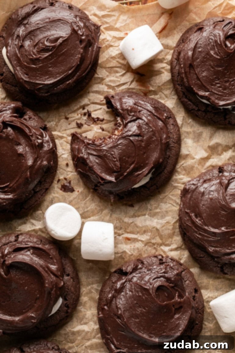 Gooey Chocolate Marshmallow Bites 2 a photo of several chocolate marshmallow cookies with large marshmallows scatted around them sitting on a piece of brown parchment paper