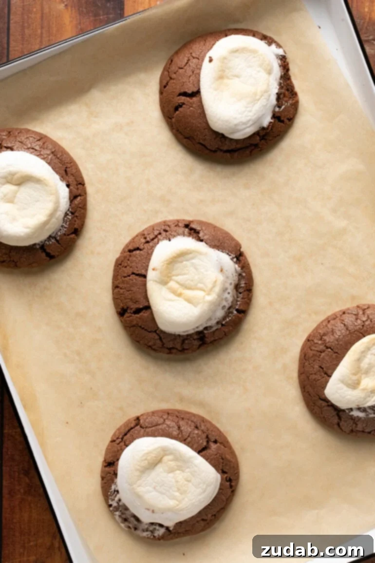 Gooey Chocolate Marshmallow Bites 14 Baked chocolate marshmallow cookies cooling
