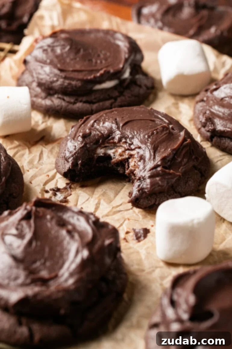 Gooey Chocolate Marshmallow Bites 19 a photo of a chocolate marshmallow cookie with a bite taken out of and other cookies around it
