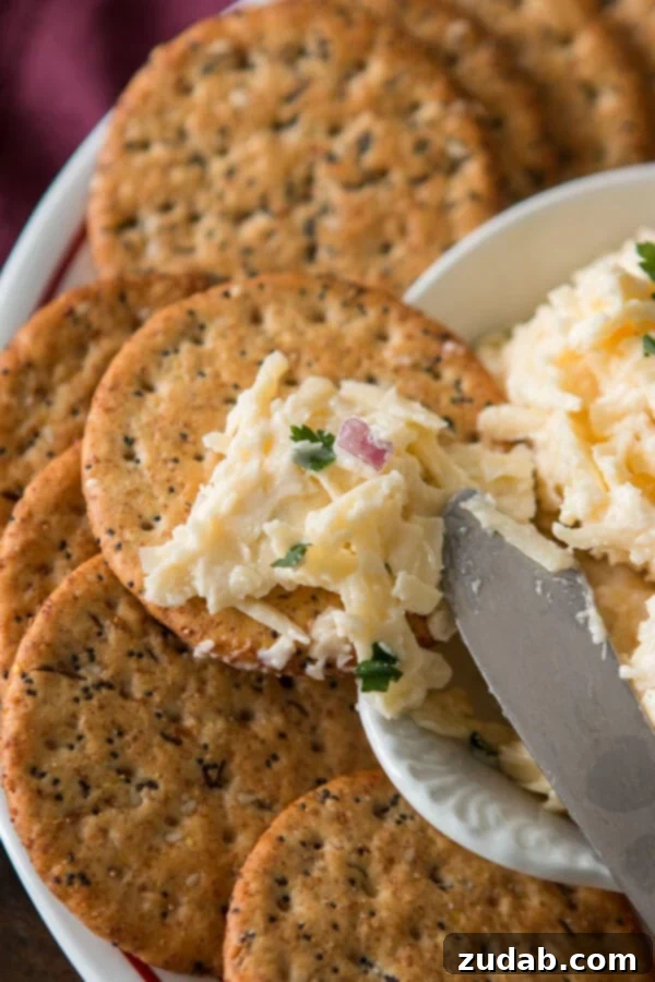 Jarlsberg Dip with Red Onion - Healthy Pregnancy Snack A serving bowl filled with the luscious 3-Ingredient Jarlsberg Dip, adorned with a sprinkle of fresh red onion, ready to be enjoyed with a selection of crackers. Perfect for entertaining!