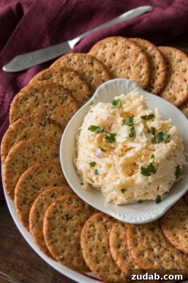 Easy Jarlsberg Cheese Dip with Crackers A generous scoop of creamy 3-Ingredient Jarlsberg Dip on a crispy cracker, garnished with a hint of red onion, presented as an inviting and quick party appetizer.