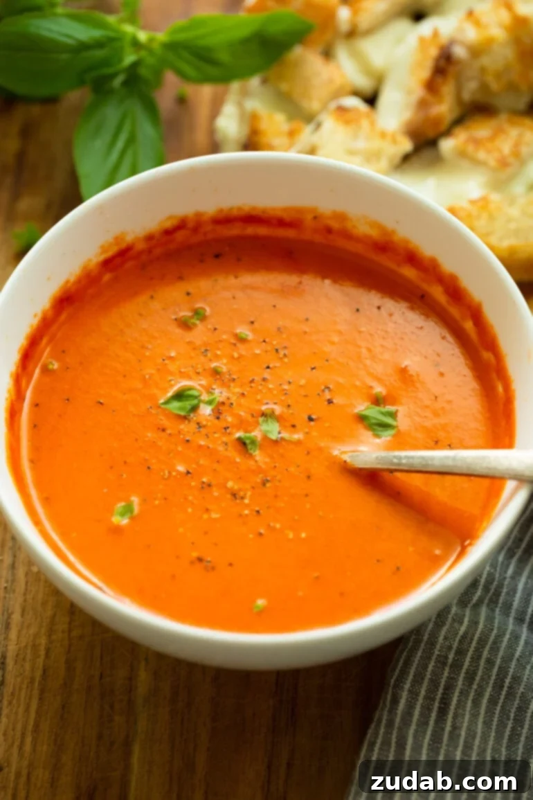 Comforting Roasted Tomato Basil Soup with Grilled Cheese Bites 3 A close-up shot of creamy tomato basil soup, adorned with cracked black pepper and finely minced fresh basil, showcasing its rich texture and vibrant colors.