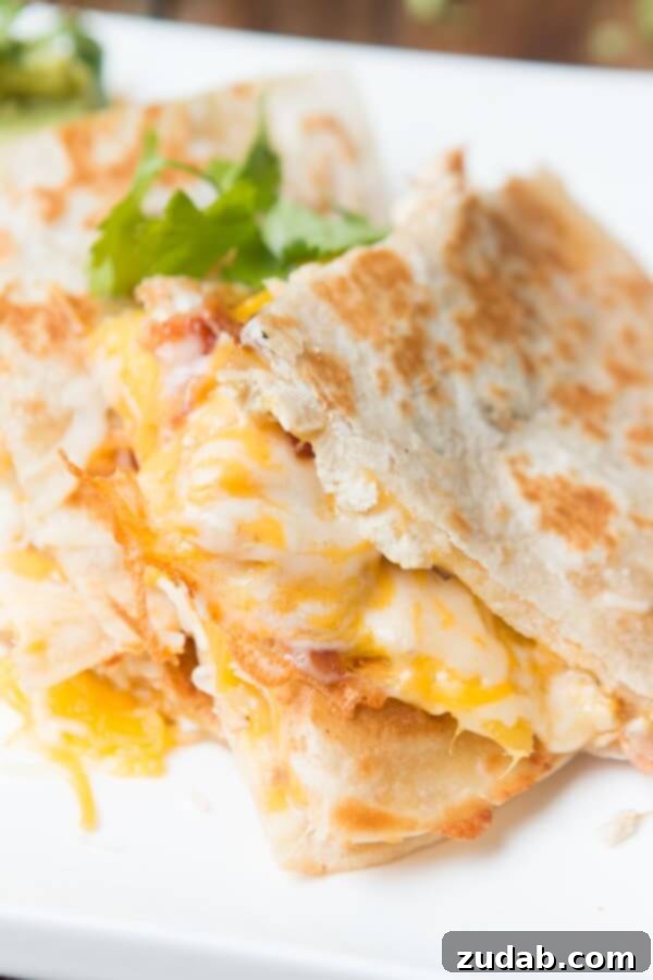Savory Steak and Zucchini Burrito 5 Mango Chicken Quesadilla with Zesty Flavors