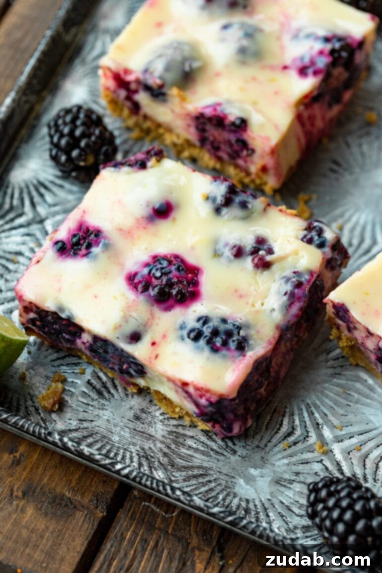 Zesty Blackberry Lime Bars 9 A photo of a creamy blackberry lime bar, showcasing its thick graham cracker crust and an abundance of fresh, glistening blackberries embedded within its zesty lime filling.