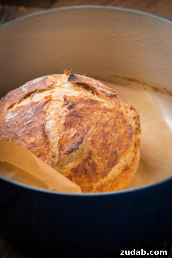 Perfect Dutch Oven No-Knead Bread: Ingredients & Baking Process A freshly baked loaf of No-Knead Artisan Bread inside a blue Dutch oven, highlighting its rustic appearance and delicious crust.