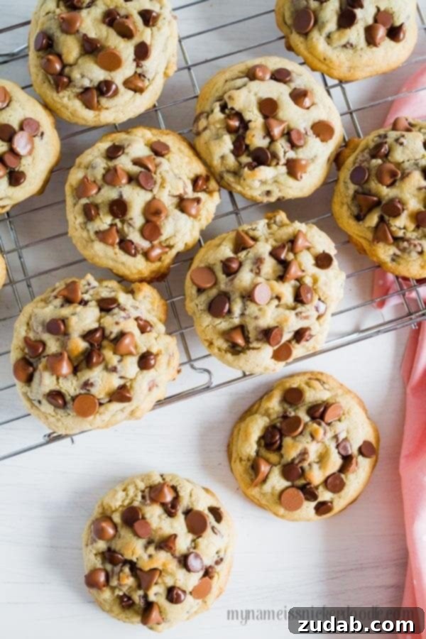 Luscious One-Pan Lemon Garlic Chicken 4 A plate of irresistibly big and chewy chocolate chip cookies, perfect for dessert