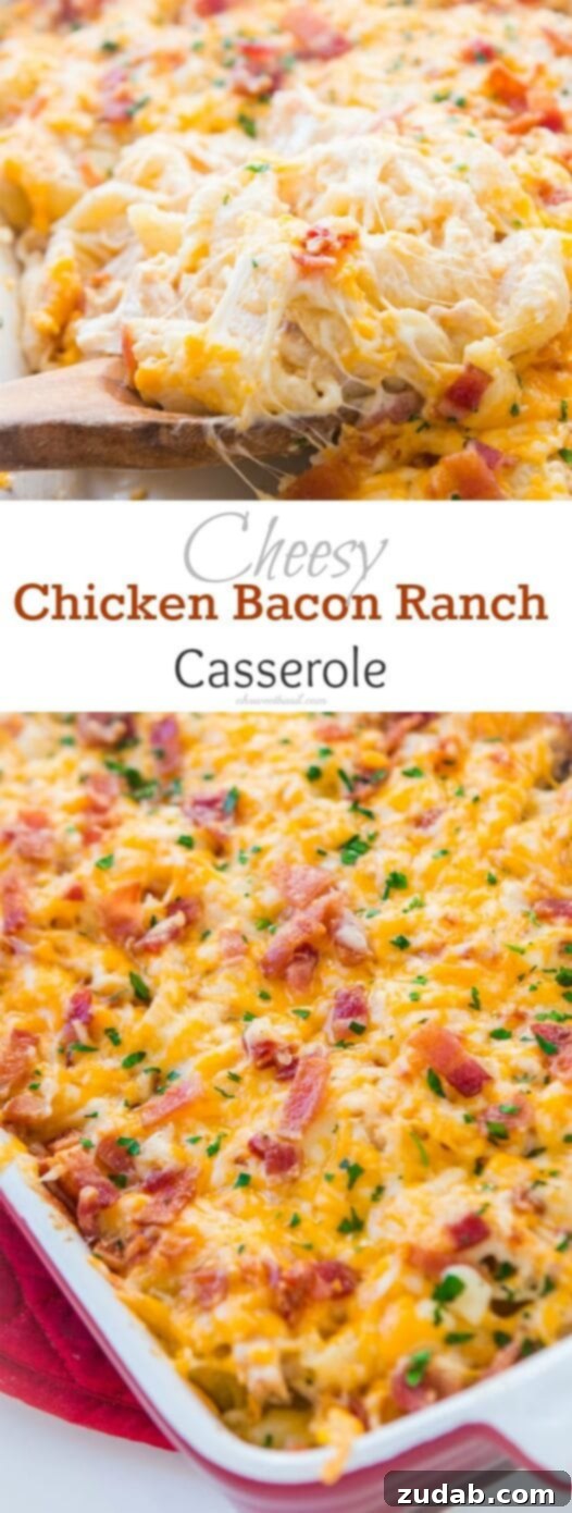 A delicious Cheesy Chicken Bacon Ranch Casserole, a quick and easy dinner idea that's perfect for families and loved by kids! A delicious Cheesy Chicken Bacon Ranch Casserole, a quick and easy dinner idea that's perfect for families and loved by kids. ohsweetbasil.com