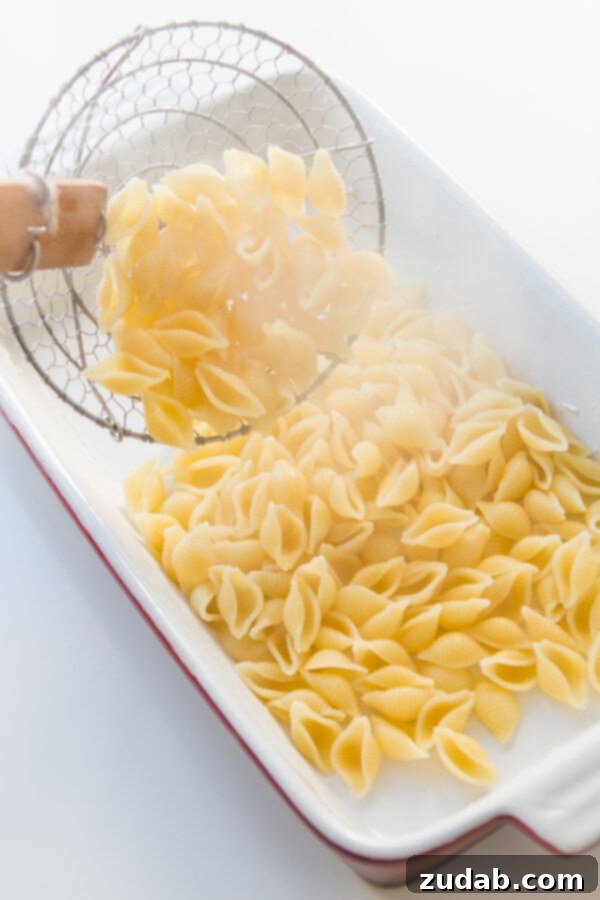 Irresistible Cheesy Chicken Bacon Ranch Casserole 3 Adding cooked shell pasta to the casserole dish, a key step in assembling the cheesy chicken bacon ranch casserole.