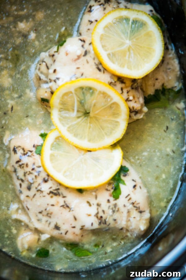 Slow Cooker Zesty Lemon Butter Chicken 3 Closeup of juicy slow cooker lemon butter chicken, served with fresh herbs.