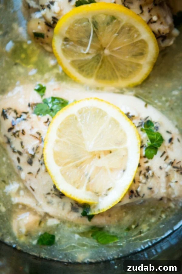 Slow Cooker Zesty Lemon Butter Chicken 5 A plate of tender slow cooker lemon butter chicken alongside fluffy rice and green beans.