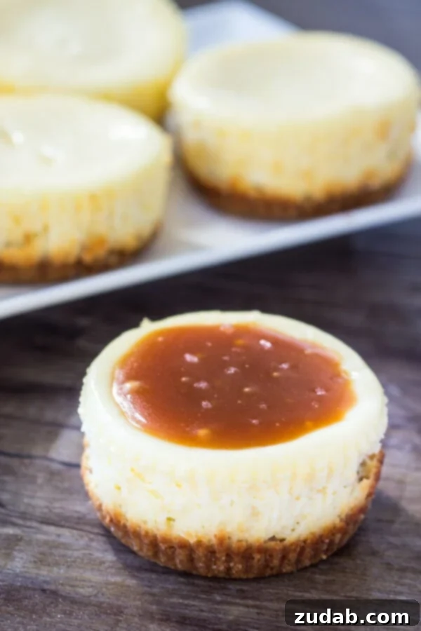 These mini cheesecakes with salted caramel sauce have a crunchy graham cracker crust, creamy cheesecake layer and are are topped with salted caramel sauce. A total crowd pleaser! Close-up of several mini cheesecake bites, each featuring a golden graham cracker crust, a creamy white cheesecake filling, and a glossy drizzle of amber salted caramel sauce, ready to be served.