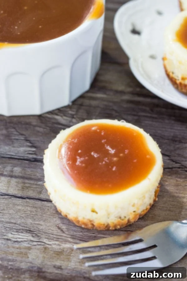 These mini cheesecakes with salted caramel sauce have a crunchy graham cracker crust, creamy cheesecake layer and are are topped with salted caramel sauce. A total crowd pleaser! A single, perfectly portioned mini cheesecake, adorned with a luscious swirl of salted caramel sauce, presented on a minimalist white background. The crunchy graham cracker crust and creamy filling are visible beneath the rich topping.