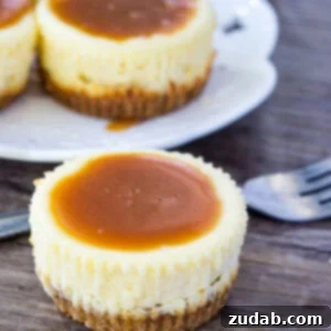 Beautifully presented mini cheesecakes with salted caramel sauce, ideal for any gathering.
