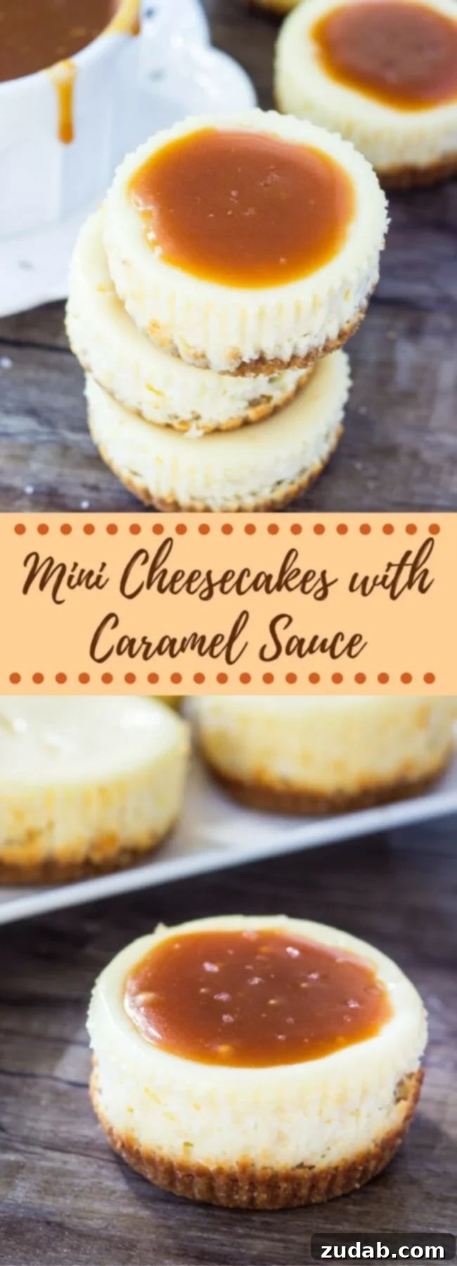 Decadent Mini Salted Caramel Cheesecakes 3 A stunning overhead shot of the mini cheesecakes, each perfectly round with a golden crust, creamy white filling, and a generous topping of glossy salted caramel sauce, ready to be enjoyed.