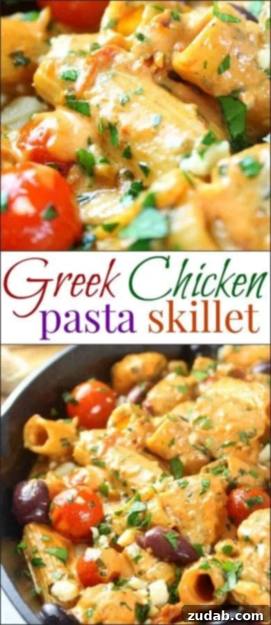 Zesty Greek Chicken Pasta Skillet 3 A beautifully plated serving of Greek Chicken Pasta Skillet, emphasizing its rich texture and vibrant colors.