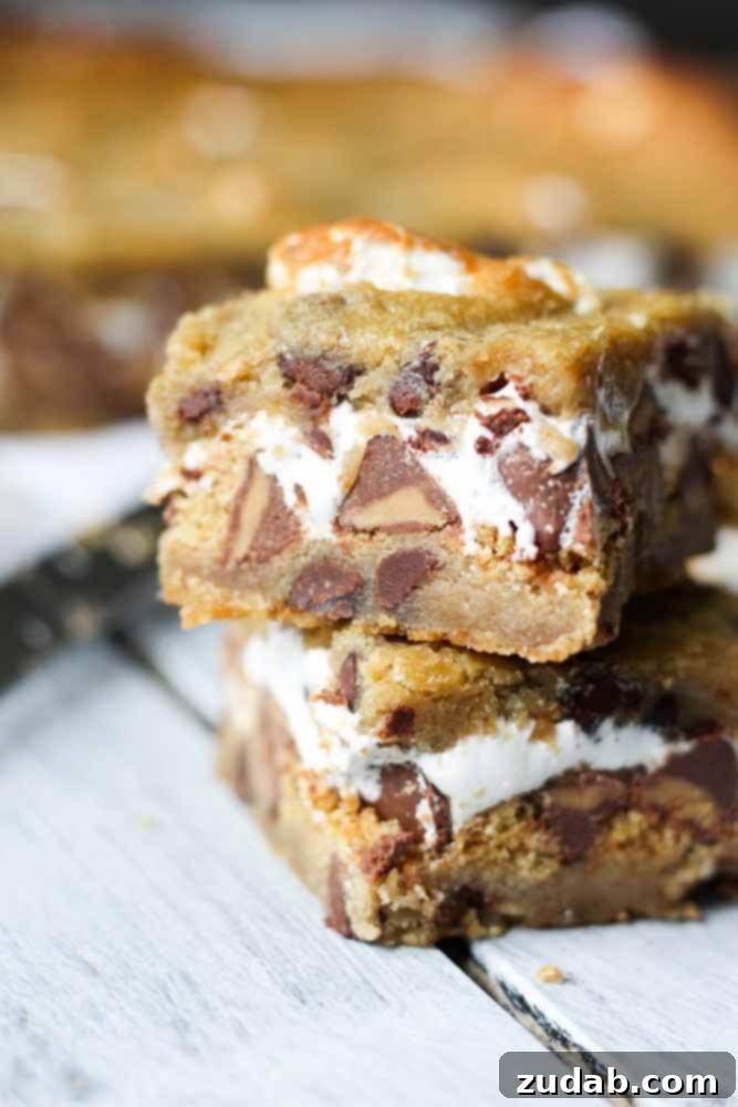 Ooey-Gooey S'mores Brownies 4 Decadent Chocolate Chip Cookie S'mores Bars
