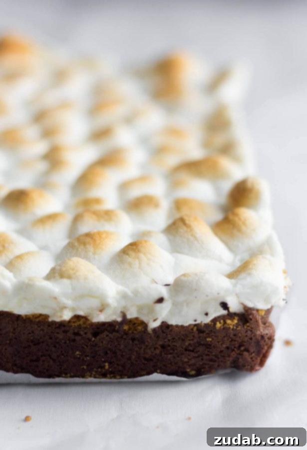 Troubleshooting Brownie Texture: Why Brownies Go Cakey These chewy brownies are our best s'mores brownies recipe. Layered with Hershey's chocolate and graham cracker crumbs and topped with toasted marshmallows.