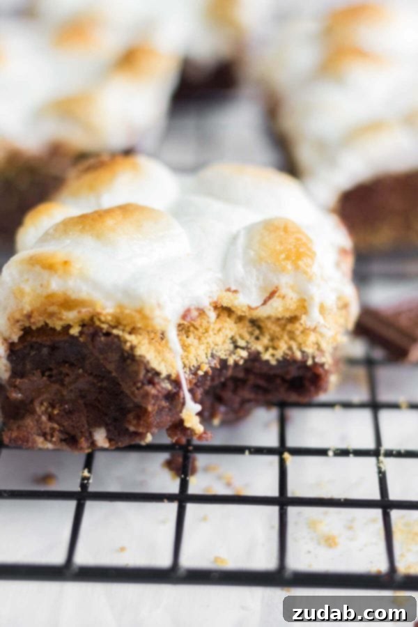 Serving Your Decadent S'mores Brownies: Tips for Clean Cuts These chewy brownies are our best s'mores brownies recipe. Layered with Hershey's chocolate and graham cracker crumbs and topped with toasted marshmallows.