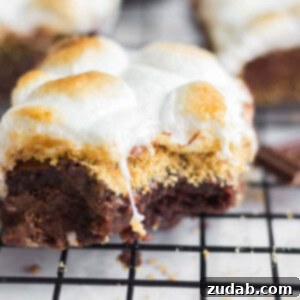 You will love these easy s'mores brownies! These thick and chewy s'mores brownies are the best way to kick off your summer festivities. The brownies are layered with Hershey's chocolate and graham cracker crumbs and topped with toasted marshmallows. Make this easy summer dessert for all your summer parties!
