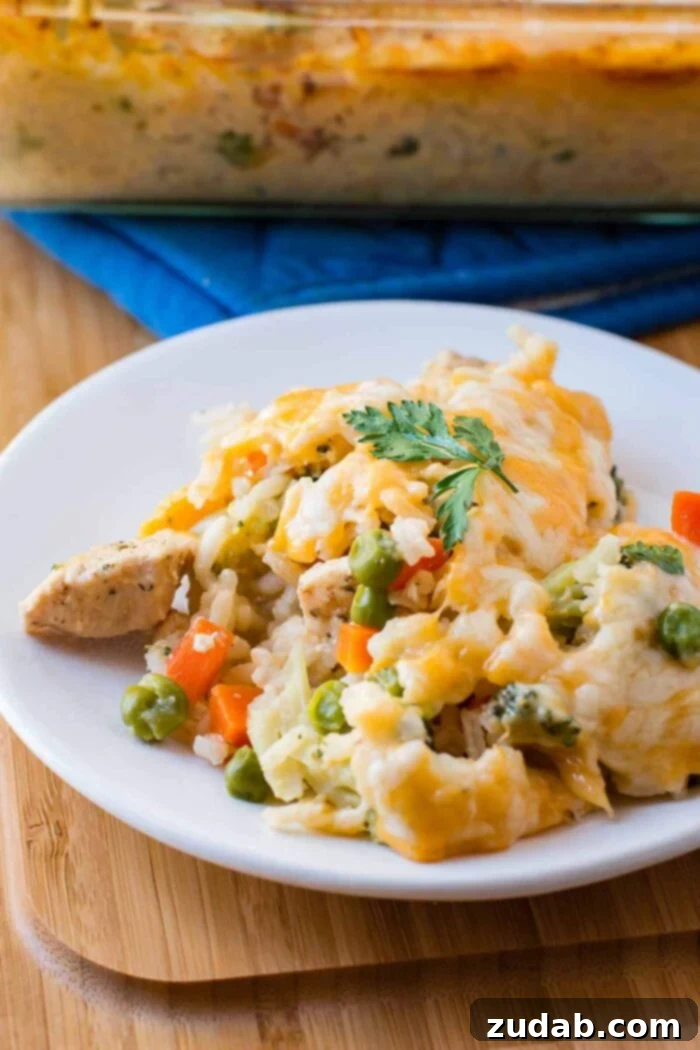 Delicious Cheesy Chicken and Rice Casserole: A comforting, quick, and easy dinner idea that feeds the whole family. A single serving of cheesy chicken and rice casserole, perfectly portioned on a white plate, highlighting the creamy texture and golden cheese topping.