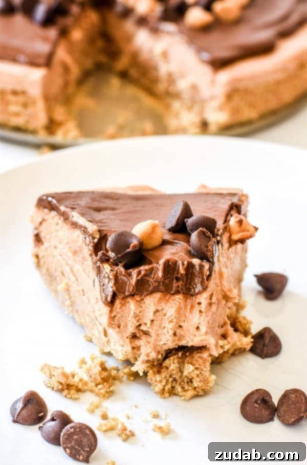 Easy No-Bake Peanut Butter Nutella Cheesecake is one of our favorite recipes for hosting friends and families and the perfect dessert for a BBQ! Easy No-Bake Peanut Butter Nutella Cheesecake is one of our favorite recipes for hosting friends and families and the perfect dessert for a BBQ!